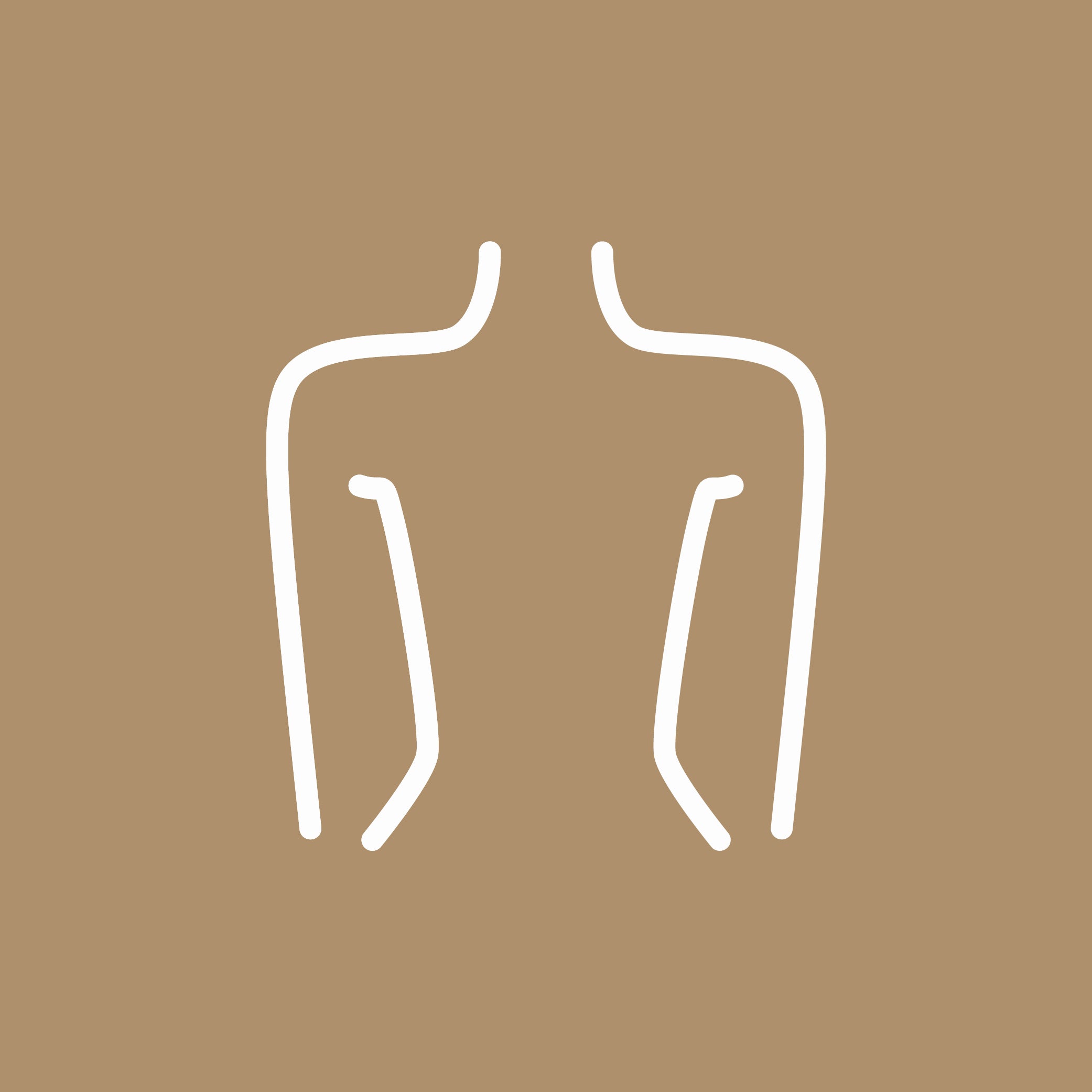 Body