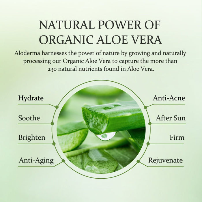 Aloe Soothing Moisturizer by ALODERMA