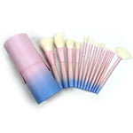 Skincare Market Pink / Blue 12-Piece Brush Set w Pink / Blue Case (9 oz/ 255 g)
